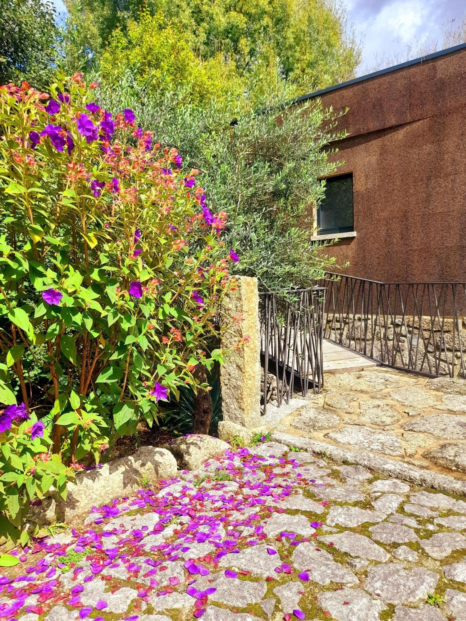 Moinhos Carvalhas Villa Arcos de Valdevez Dış mekan fotoğraf